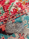 Caroline Hill Purse - Leopard